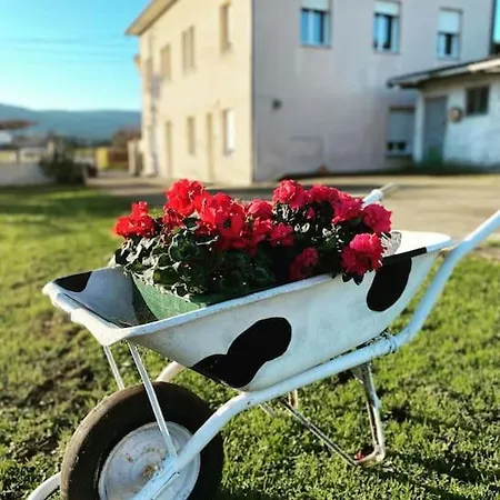 Viviendas Uso Turistico Reme I Lägenhet *